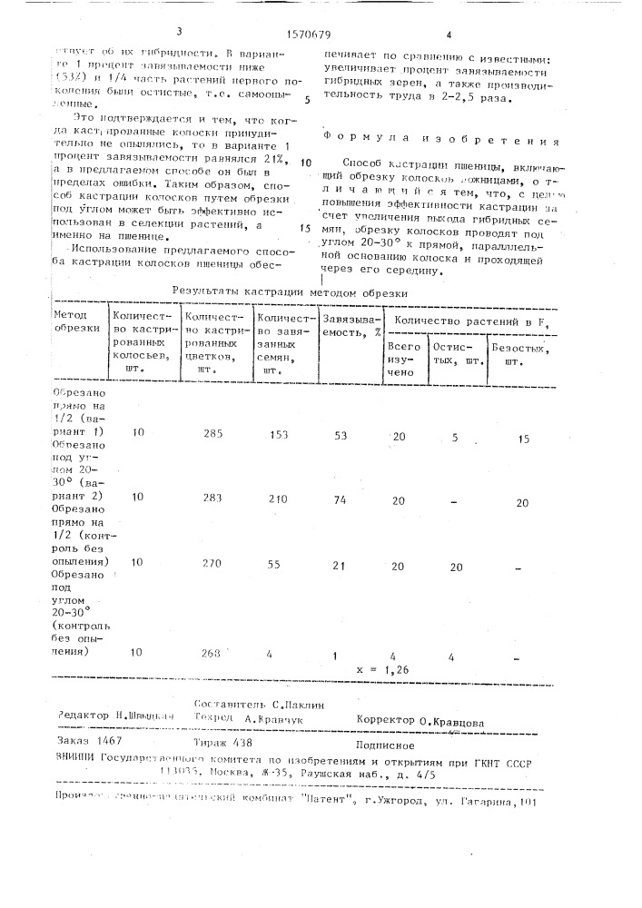 Способ кастрации пшеницы (патент 1570679)