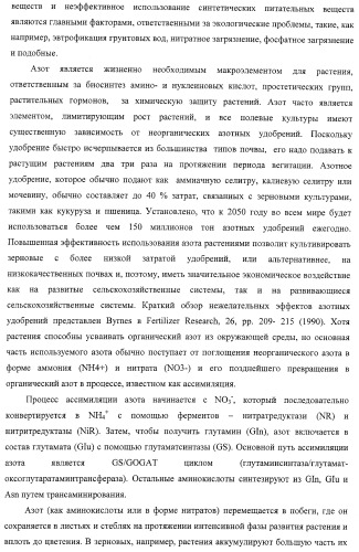 Изолированные полипептиды, кодирующие их полинуклеотиды, экспрессирующие их трансгенные растения и способы их использования (патент 2425151)