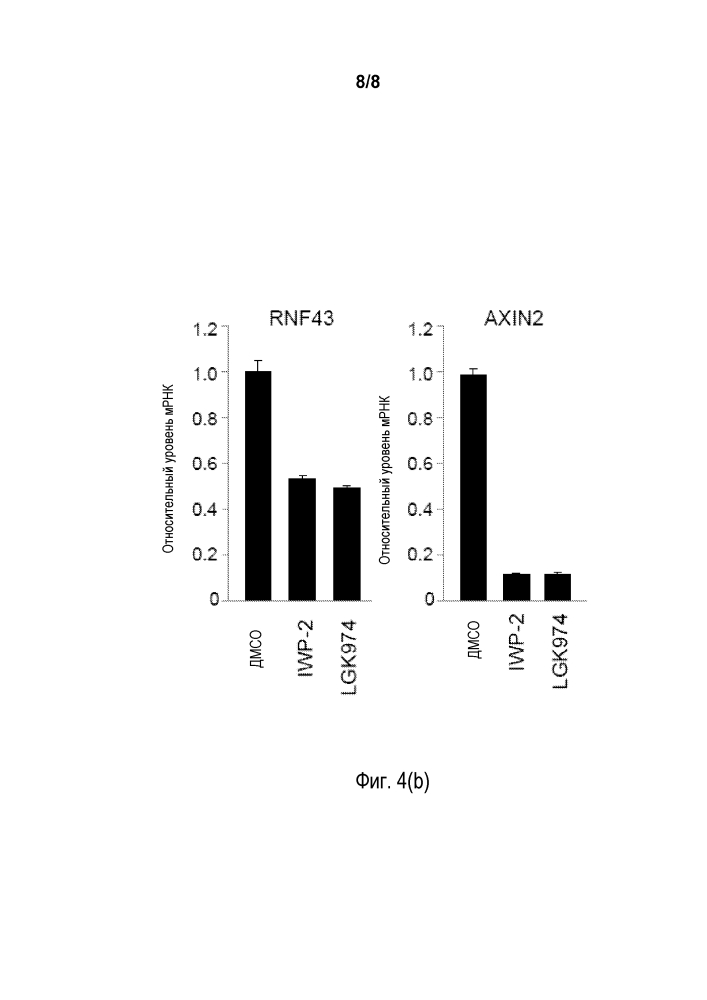 Отбор больных раком для введения ингибиторов сигнального пути wnt на основании статуса мутации rnf43 (патент 2636000)
