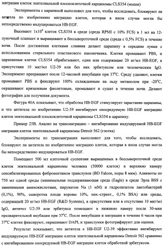 Белки, связывающие антиген фактор роста, подобный гепаринсвязывающему эпидермальному фактору роста (патент 2504551)