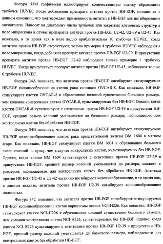Белки, связывающие антиген фактор роста, подобный гепаринсвязывающему эпидермальному фактору роста (патент 2504551)