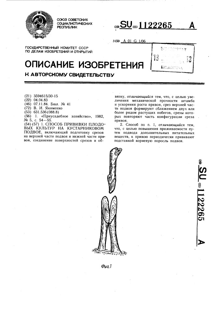 Способ прививки плодовых культур на кустарниковом подвое (патент 1122265)