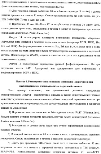 Чипы на основе антител для определения множественных трансдукторов сигналов в редких циркулирующих клетках (патент 2442171)