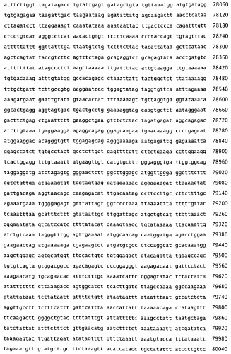 Применение s1p (патент 2362565)