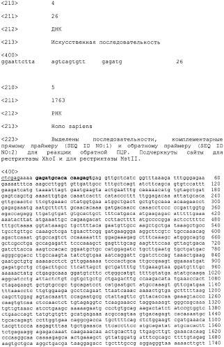 Штамм дрожжей pichia pastoris ps107(ppic9habil-2), являющийся продуцентом гибридного белка, состоящего из альбумина плазмы крови человека и интерлейкина-2 человека, рекомбинантная плазмида ppic9habil-2 и способ ее конструирования (патент 2315105)