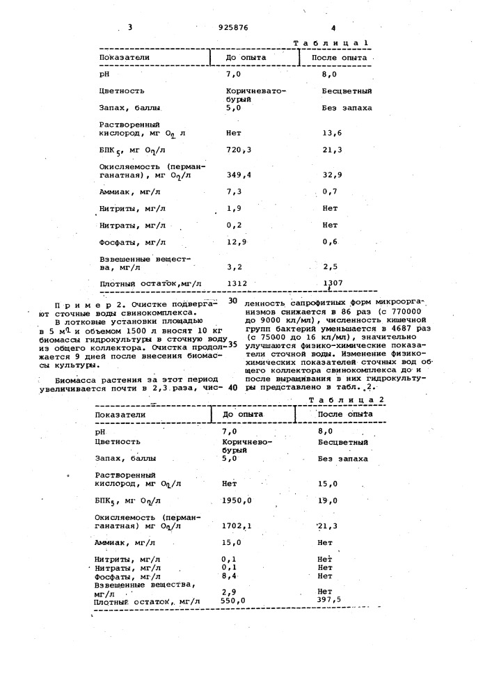 Способ биологической очистки сточных вод (патент 925876)