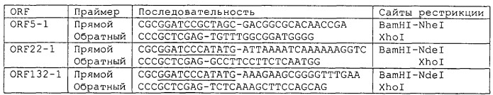 Композиция для лечения или профилактики инфекции, вызванной бактерией neisseria (патент 2244749)