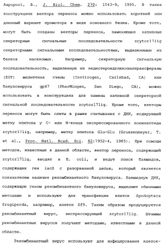 Новый лиганд рецептора цитокина zcytor17 (патент 2360923)