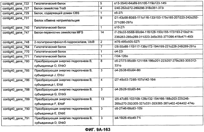 Вакцины и компоненты вакцин для подавления микробных клеток (патент 2528854)