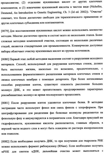Иммуногенная композиция и способ разработки вакцины, основанной на участках матричного белка вич (патент 2403915)