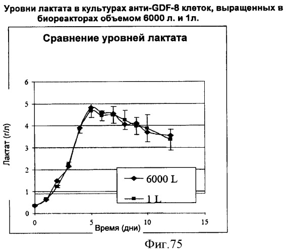 Производство полипептидов (патент 2451082)