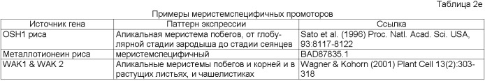 Растения, имеющие усиленные признаки, связанные с урожайностью, и способ их получения (патент 2503721)