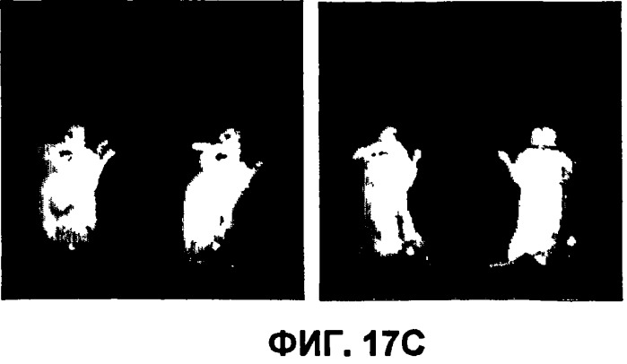 Конъюгаты rgd-пептидов и фотосенсибилизаторов порфирина или (бактерио)хлорофилла и их применение (патент 2450018)