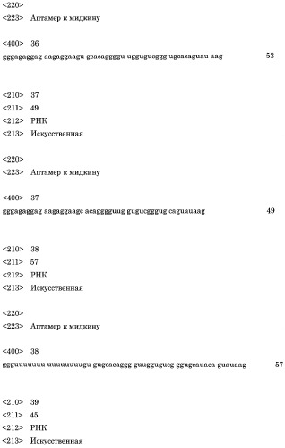 Аптамер против мидкина и его применение (патент 2460794)