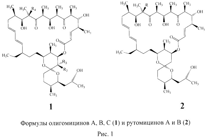 Способ модификации макролидного антибиотика олигомицина а с помощью реакции [3+2]-диполярного циклопресоединения азида и алкинов. 33-дезокис-33-(триазол-1-ил)-олигомицины а и их биологическая активность (патент 2523284)