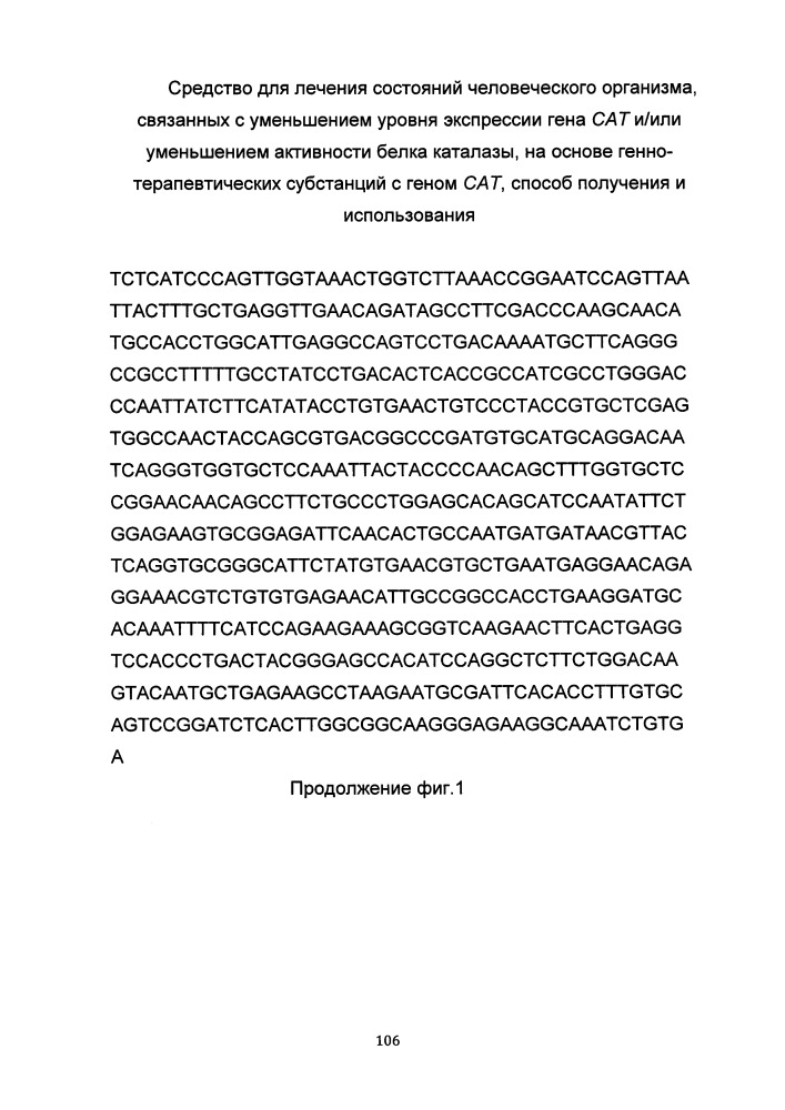 Средство для лечения состояний человеческого организма, связанных с уменьшением уровня экспрессии гена сат и/или уменьшением активности белка каталазы на основе генно-терапевтических субстанций с геном сат, способ получения и использования (патент 2649814)