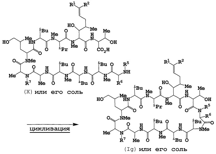 Новые циклические пептидные соединения (патент 2436795)