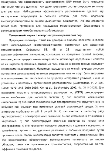 Макромолекула регулируемого размера (патент 2326172)