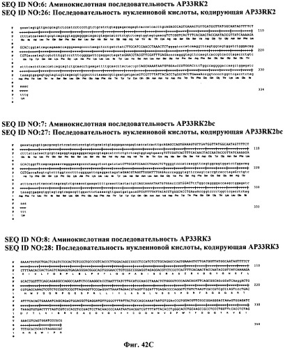 Антитела против вируса гепатита с (патент 2462475)