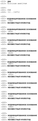 Растения пшеницы с повышенной устойчивостью к имидазолиноновым гербицидам (патент 2337531)