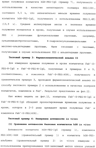 Физиологически активный полипептидный конъюгат, обладающий пролонгированным периодом полувыведения in vivo (патент 2312868)