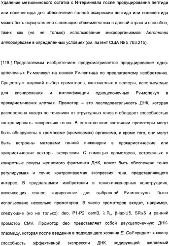 Специфические антитела человека для избирательной терапии рака (патент 2316564)