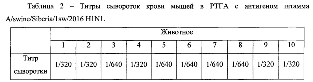 Штамм вируса гриппа свиней a/swine/siberia/1sw/2016 h1n1-субтипа для использования в диагностике вируса гриппа методами ртга и пцр и исследования эффективности вакцин и противовирусных препаратов in vitro и in vivo (патент 2631938)