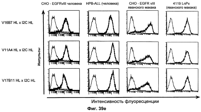 Cd3-эпсилон-связывающий домен с межвидовой специфичностью (патент 2561457)