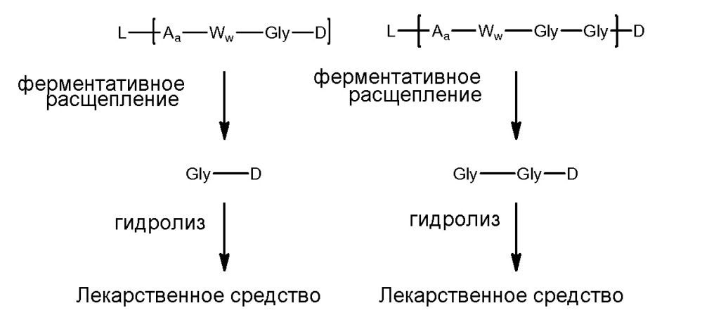 Белки, связывающие рецептор пролактина, и их применение (патент 2664463)