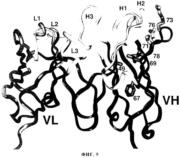 Гуманизированное антитело, которое обладает способностью связывать erbb2 и блокировать активацию лигандом рецептора erbb (варианты) и композиция для применения при лечении рака, содержащая это антитело (патент 2270029)