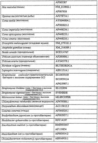 Клетка-хозяин, содержащая вектор для продуцирования белков, требующих гамма-карбоксилирования (патент 2415934)