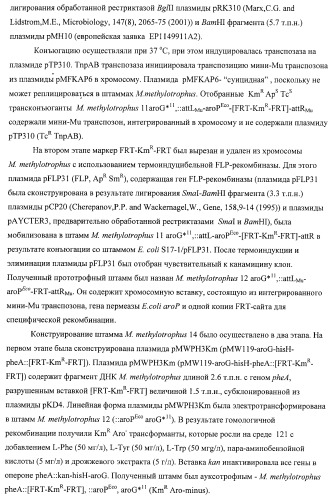 Способ придания бактерии, принадлежащей к роду methylophilus, ауксотрофности по l-аминокислоте, бактерия, принадлежащая к роду methylophilus, и способ продукции l-аминокислоты (патент 2395569)