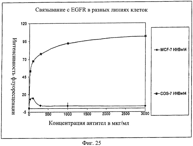 Антигенсвязывающие молекулы, которые связывают рецептор эпидермального фактора роста (egfr), кодирующие их векторы и их применение (патент 2457219)