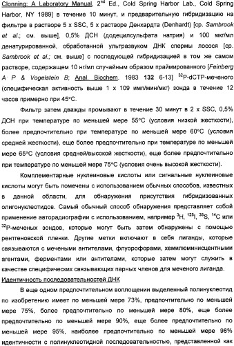 Растительные тимидинкиназы и их применение (патент 2339695)