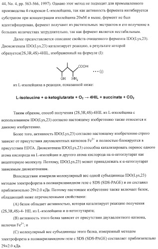 Способ продукции 4-гидрокси-l-изолейцина (патент 2402608)