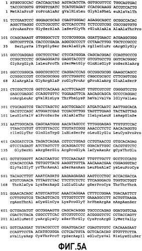 Способы применения агонистов аро-2l-рецепторов и активаторов nk-клеток (патент 2395294)