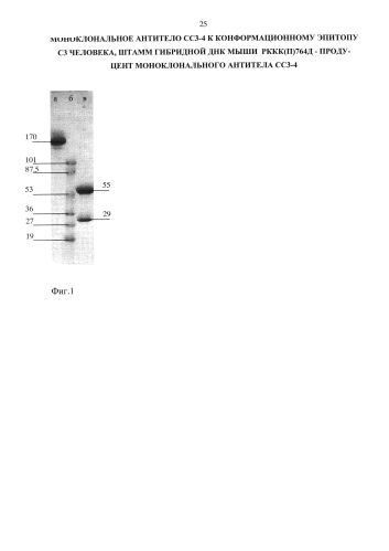 Моноклональное антитело сс3-4 к конформационному эпитопу с3 человека, штамм гибридной днк мыши рккк(п)764д - продуцент моноклонального антитела сс3-4 (патент 2584582)