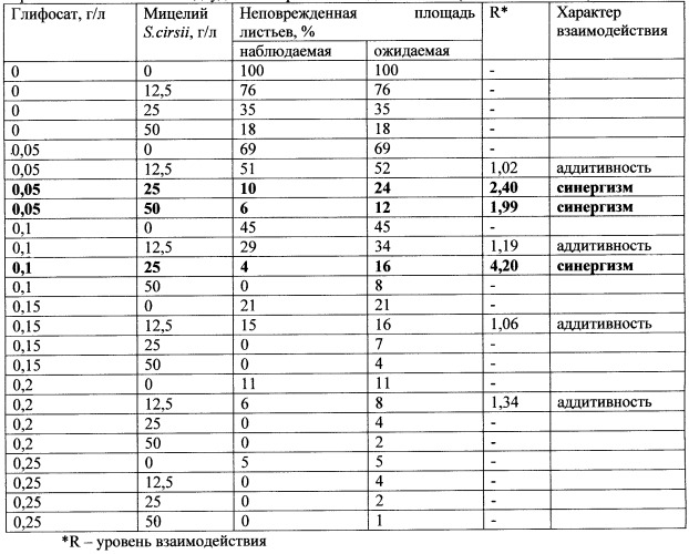 Способ борьбы с нежелательной травянистой растительностью класса dicotyledones (патент 2543665)