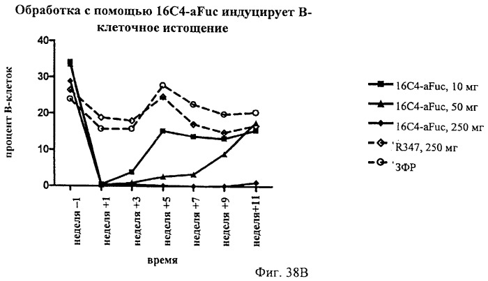 Гуманизированные антитела к cd19 и их применение для лечения онкологического, связанного с трансплантацией и аутоиммунного заболевания (патент 2495882)
