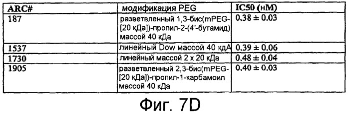 Связывающие комплемент аптамеры и средства против с5, пригодные для лечения глазных нарушений (патент 2477137)