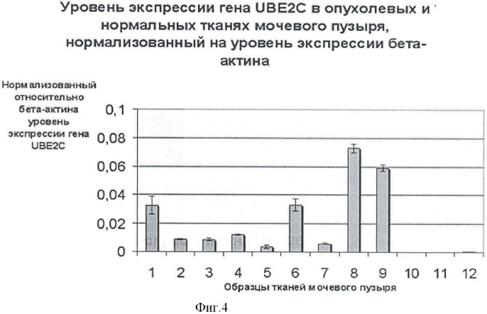 Способ оценки эффективности терапии рака мочевого пузыря человека методом иммуноферментного анализа (патент 2468088)