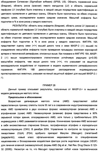 Способ лечения заболеваний, связанных с masp-2-зависимой активацией комплемента (варианты) (патент 2484097)