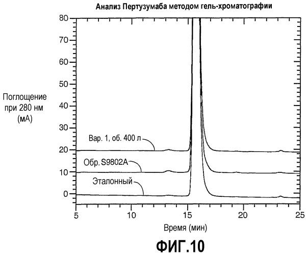 Композиция антител к her2 (патент 2361880)