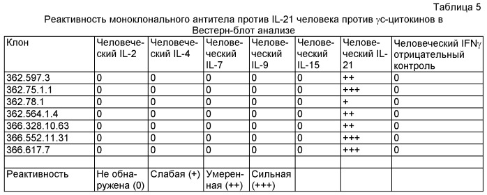 Моноклональные антитела против il-21 человека (патент 2504552)