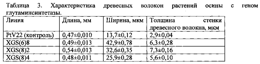 Трансгенное растение осины с повышенной продуктивностью и модифицированной древесиной (патент 2593722)