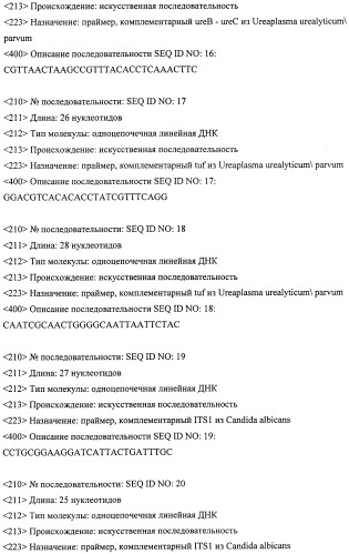 Дифференцирующий и специфический олигонуклеотиды для идентификации последовательностей днк инфекционных агентов в биологических материалах, способ видовой идентификации инфекционных агентов, биочип и набор для осуществления этого способа (патент 2348695)