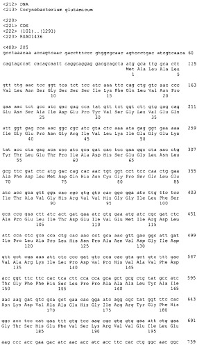 Гены corynebacterium glutamicum, кодирующие белки, участвующие в метаболизме углерода и продуцировании энергии (патент 2310686)