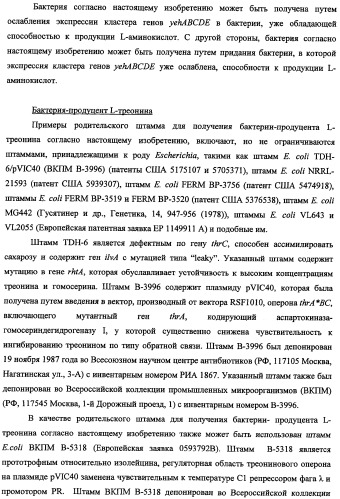 Способ получения l-треонина и l-аргинина с использованием бактерии, принадлежащей к роду escherichia, в которой инактивирован кластер генов yehabcde (патент 2337960)