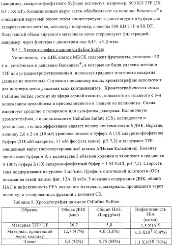 Линии клеток почки собаки майдин-дэрби (mdck), поддерживающие рост вирусов до высоких титров, и способ применения этих клеток в биореакторе (патент 2487935)