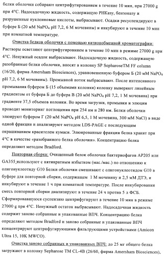 Способы упаковки олигонуклеотидов в вирусоподобные частицы рнк-содержащих бактериофагов (патент 2476595)